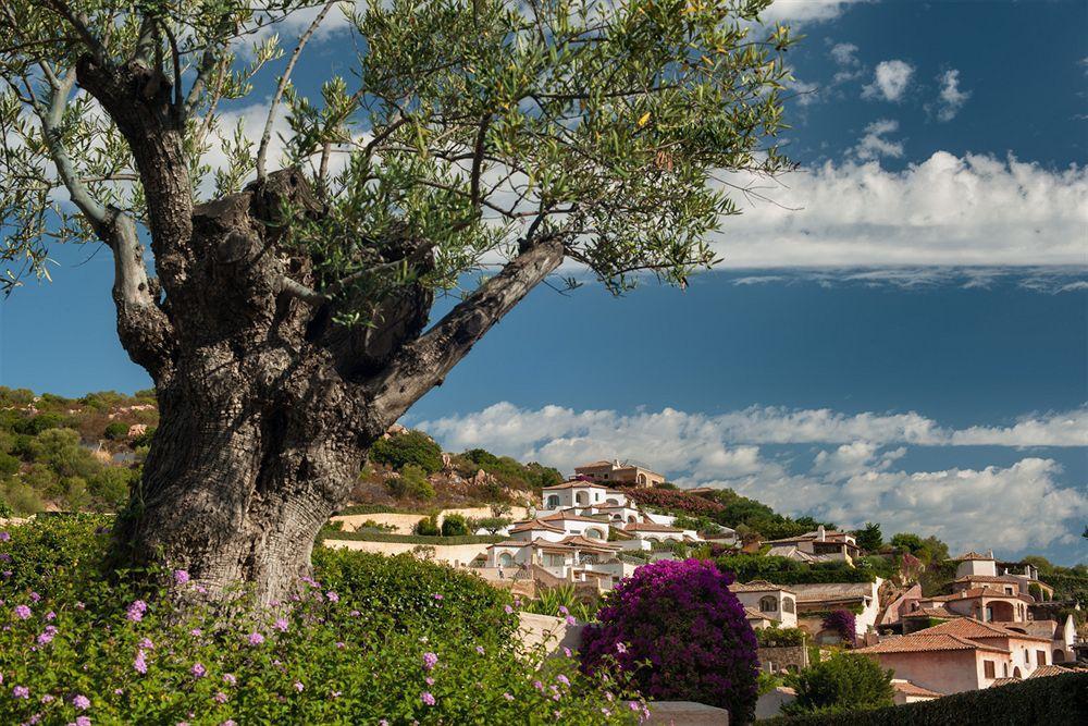 Aethos Sardinia Hotel Cannigione Buitenkant foto